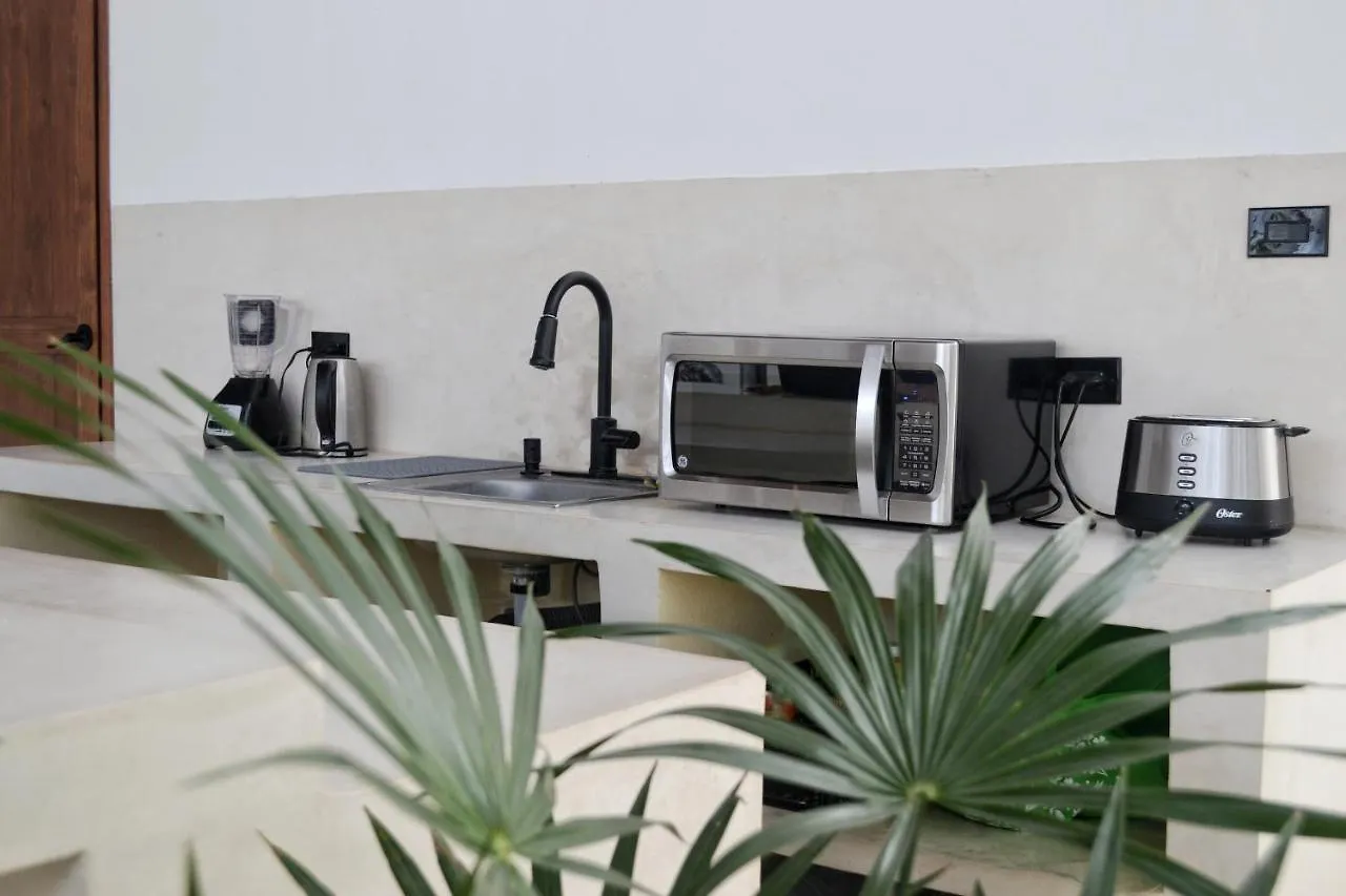 Freelance Hostel Tulum 0*,  México