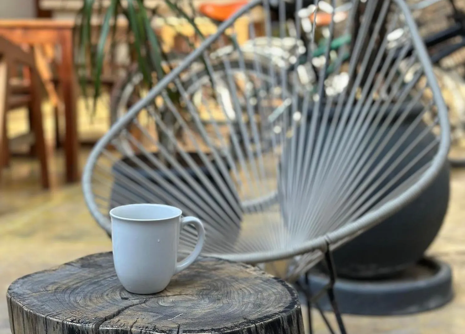 Freelance Hostel Tulum México